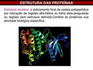 ESTRUTURA DAS PROTEÍNAS
Estrutura terciária: o dobramento final da cadeia polipeptídica
por interação de regiões alfa-hélice ou folha beta-pregueada
ou regiões sem estrutura definida.Confere às proteínas sua
atividade biológica específica.
 