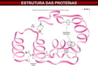 ESTRUTURA DAS PROTEÍNAS
 