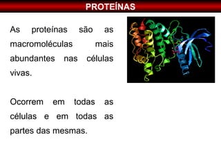 PROTEÍNAS

As   proteínas     são     as
macromoléculas           mais
abundantes   nas    células
vivas.


Ocorrem   em     todas     as
células e em todas as
partes das mesmas.
 