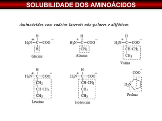 SOLUBILIDADE DOS AMINOÁCIDOS
 