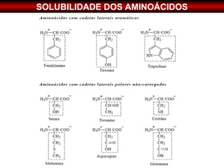 SOLUBILIDADE DOS AMINOÁCIDOS
 