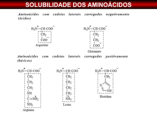 SOLUBILIDADE DOS AMINOÁCIDOS
 