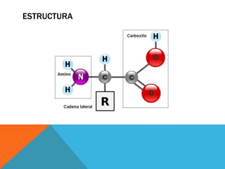 ESTRUCTURA
 