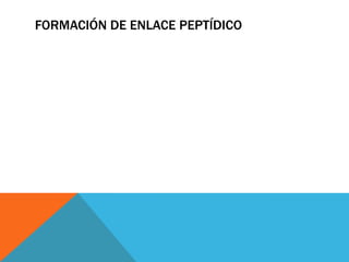 FORMACIÓN DE ENLACE PEPTÍDICO
 