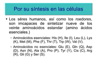 Por su síntesis en las células Los séres humanos, así como los roedores, son imcapaces de sintetizar nueve de los veinte aminoácidos estandar (amino ácidos esenciales.) Aminoácidos esenciales: His (H), Ile (I), Leu (L), Lys (K), Met (M), Phe (F), Thr (T), Trp (W), Val (V). Aminoácidos no esenciales: Glu (E), Gln (Q), Asp (D), Asn (N), Ala (A), Pro (P), Tyr (Y), Cis (C), Arg (R), Gli (G) y Ser (S). 