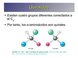 Quiralidad Existen cuatro grupos diferentes conectados a el C α . Por tanto, los α-aminoácidos son quirales. 