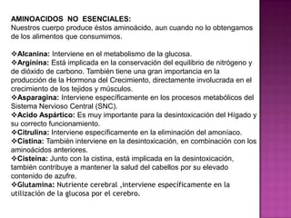 AMINOACIDOS NO ESENCIALES:
Nuestros cuerpo produce éstos aminoácido, aun cuando no lo obtengamos
de los alimentos que consumimos.
Alcanina: Interviene en el metabolismo de la glucosa.
Arginina: Está implicada en la conservación del equilibrio de nitrógeno y
de dióxido de carbono. También tiene una gran importancia en la
producción de la Hormona del Crecimiento, directamente involucrada en el
crecimiento de los tejidos y músculos.
Asparagina: Interviene específicamente en los procesos metabólicos del
Sistema Nervioso Central (SNC).
Acido Aspártico: Es muy importante para la desintoxicación del Hígado y
su correcto funcionamiento.
Citrulina: Interviene específicamente en la eliminación del amoníaco.
Cistina: También interviene en la desintoxicación, en combinación con los
aminoácidos anteriores.
Cisteína: Junto con la cistina, está implicada en la desintoxicación,
también contribuye a mantener la salud del cabellos por su elevado
contenido de azufre.
Glutamina: Nutriente cerebral ,interviene específicamente en la
utilización de la glucosa por el cerebro.

 