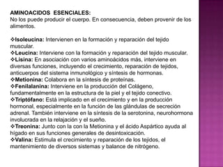 AMINOACIDOS ESENCIALES:
No los puede producir el cuerpo. En consecuencia, deben provenir de los
alimentos.
Isoleucina: Intervienen en la formación y reparación del tejido
muscular.
Leucina: Interviene con la formación y reparación del tejido muscular.
Lisina: En asociación con varios aminoácidos más, interviene en
diversas funciones, incluyendo el crecimiento, reparación de tejidos,
anticuerpos del sistema inmunológico y síntesis de hormonas.
Metionina: Colabora en la síntesis de proteínas.
Fenilalanina: Interviene en la producción del Colágeno,
fundamentalmente en la estructura de la piel y el tejido conectivo.
Triptófano: Está implicado en el crecimiento y en la producción
hormonal, especialmente en la función de las glándulas de secreción
adrenal. También interviene en la síntesis de la serotonina, neurohormona
involucrada en la relajación y el sueño.
Treonina: Junto con la con la Metionina y el ácido Aspártico ayuda al
hígado en sus funciones generales de desintoxicación.
Valina: Estimula el crecimiento y reparación de los tejidos, el
mantenimiento de diversos sistemas y balance de nitrógeno.

 