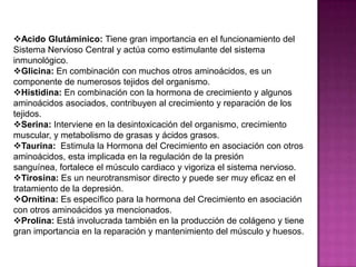 Acido Glutáminico: Tiene gran importancia en el funcionamiento del
Sistema Nervioso Central y actúa como estimulante del sistema
inmunológico.
Glicina: En combinación con muchos otros aminoácidos, es un
componente de numerosos tejidos del organismo.
Histidina: En combinación con la hormona de crecimiento y algunos
aminoácidos asociados, contribuyen al crecimiento y reparación de los
tejidos.
Serina: Interviene en la desintoxicación del organismo, crecimiento
muscular, y metabolismo de grasas y ácidos grasos.
Taurina: Estimula la Hormona del Crecimiento en asociación con otros
aminoácidos, esta implicada en la regulación de la presión
sanguínea, fortalece el músculo cardiaco y vigoriza el sistema nervioso.
Tirosina: Es un neurotransmisor directo y puede ser muy eficaz en el
tratamiento de la depresión.
Ornitina: Es específico para la hormona del Crecimiento en asociación
con otros aminoácidos ya mencionados.
Prolina: Está involucrada también en la producción de colágeno y tiene
gran importancia en la reparación y mantenimiento del músculo y huesos.

 