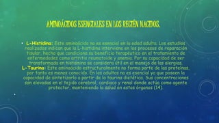 AMINOÁCIDOS ESENCIALES EN LOS RECIÉN NACIDOS.
• L-Histidina: Este aminoácido no es esencial en la edad adulta. Los estudios
realizados indican que la L-histidina interviene en los procesos de reparación
tisular, hecho que condiciona su beneficio terapéutico en el tratamiento de
enfermedades como artritis reumatoide y anemia. Por su capacidad de ser
transformada en histamina se considera útil en el manejo de las alergias.
L-Taurina: Este aminoácido estructuralmente no forma parte de las proteínas,
por tanto es menos conocido. En los adultos no es esencial ya que poseen la
capacidad de sintetizarlo a partir de la taurina dietética. Sus concentraciones
son elevadas en el tejido cerebral, cardiaco y renal donde actúa como agente
protector, manteniendo la salud en estos órganos (14).
•
 