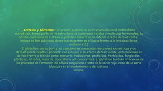 • -Cisteina y Glutation: La cisteina, a parte de su intervención en el metabolismo
energético, forma parte de la estructura de numerosos tejidos y moléculas hormonales. La
acción combinada de cisteina y glutation resulta en un intenso efecto detoxificante,
incluso se han publicado datos que muestran su eficacia frente a la intoxicación de
arsénico (16).
El glutation, por su parte, es coenzima en numerosas reacciones enzimáticas y un
detoxificante hepático potente. Con relación a su efecto detoxificante, esta molécula es
activa frente a tóxicos como: mercurio, radiaciones, pesticidas, herbicidas, fungicidas,
plásticos, nitratos, humo de cigarrillos y anticonceptivos. El glutation también interviene en
los procesos de formación de células sanguíneas (tanto de la serie roja, como de la serie
blanca) y en el mantenimiento del sistema
inmune.
 