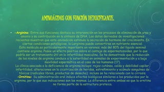 AMINOÁCIDOS CON FUNCIÓN DETOXIFICANTE.
• -Arginina: Entre sus funciones destaca su intervención en los procesos de eliminación de urea y
amonio y su contribución en la síntesis de DNA. Los datos derivados de investigaciones
recientes muestran que este aminoácido estimula la secreción de hormona del crecimiento. En
ciertas condiciones patológicas, la Larginina puede convertirse en nutriente esencial.
Esta molécula es particularmente importante en varones; más del 80% del líquido seminal
contiene arginina. Posee un efecto positivo sobre el contaje de espermatozoides, por lo que
podría ser un tratamiento útil en la infertilidad masculina. Se ha demostrado que la reducción
de los niveles de arginina conduce a la esterilidad en animales de experimentación y a baja
movilidad espermática en el caso de los humanos (17).
La clínica asociada a la deficiencia de arginina incluye: rojez cutánea, caída y debilidad capilar,
infertilidad, alteraciones en la cicatrización de heridas, estreñimiento y acúmulo sanguíneo de
tóxicos (radicales libres, productos de desecho); incluso se ha relacionado con la cirrosis.
-Ornitina: Su administración oral induce efectos biológicos similares a los producidos por la
arginina, por lo que sus indicaciones son las mismas. La diferencia entre ambas es que la ornitina
no forma parte de la estructura proteica.
 