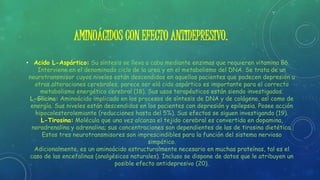 AMINOÁCIDOS CON EFECTO ANTIDEPRESIVO.
• Acido L-Aspártico: Su síntesis se lleva a cabo mediante enzimas que requieren vitamina B6.
Interviene en el denominado ciclo de la urea y en el metabolismo del DNA. Se trata de un
neurotransmisor cuyos niveles están descendidos en aquellos pacientes que padecen depresión u
otras alteraciones cerebrales; parece ser elá cido aspártico es importante para el correcto
metabolismo energético cerebral (18). Sus usos terapéuticos están siendo investigados.
L-Glicina: Aminoácido implicado en los procesos de síntesis de DNA y de colágeno, así como de
energía. Sus niveles están descendidos en los pacientes con depresión y epilepsia. Posee acción
hipocolesterolemiante (reducciones hasta del 5%). Sus efectos se siguen investigando (19).
L-Tirosina: Molécula que una vez alcanza el tejido cerebral es convertida en dopamina,
noradrenalina y adrenalina; sus concentraciones son dependientes de las de tirosina dietética.
Estos tres neurotransmisores son imprescindibles para la función del sistema nervioso
simpático.
Adicionalmente, es un aminoácido estructuralmente necesario en muchas proteínas, tal es el
caso de las encefalinas (analgésicos naturales). Incluso se dispone de datos que le atribuyen un
posible efecto antidepresivo (20).
 
