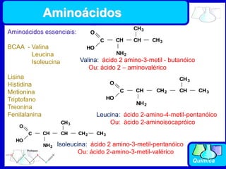 Química
Aminoácidos essenciais:
BCAA - Valina
Leucina
Isoleucina
Lisina
Histidina
Metionina
Triptofano
Treonina
Fenilalanina
NH2
C
O
HO
CH CH
CH3
CH3
Valina: ácido 2 amino-3-metil - butanóico
Ou: ácido 2 – aminovalérico
CH2
NH2
C
O
HO
CH CH
CH3
CH3
Leucina: ácido 2-amino-4-metil-pentanóico
Ou: ácido 2-aminoisocapróico
CH2
NH2
C
O
HO
CH CH
CH3
CH3
Isoleucina: ácido 2 amino-3-metil-pentanóico
Ou: ácido 2-amino-3-metil-valérico
Aminoácidos
 