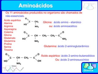 Química
Os 11 aminoácidos produzidos no organismo são chamados de
não-essenciais.
Ácido aspártico
Alanina
Arginina
Asparagina
Cisteína
Glicina
Glutamato
Glutamina
Prolina
Serina
Tirosina
NH2
C
O
HO
CH2 Glicina: ácido amino - etanóico
ou: ácido aminoacético
CH2
NH2
C
O
HO
CH CH2 C
O
NH2
Glutamina: ácido 2-aminoglutarâmico
NH2
C
O
HO
CH CH2 C
O
OH
Ácido aspártico: ácido 2-amino-butanodióico
Ou: ácido 2-aminosuccínico
Aminoácidos
 