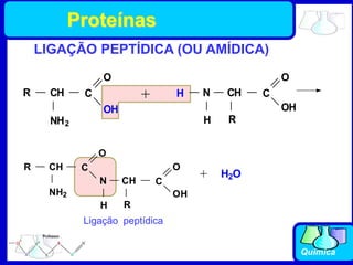 Química
LIGAÇÃO PEPTÍDICA (OU AMÍDICA)
R CH
NH2 R
CH C
O
OH
H N
H
+
C
O
OH
R CH
NH2
R
CH C
O
OH
N
H
C
O
H2O
+
Ligação peptídica
Proteínas
 