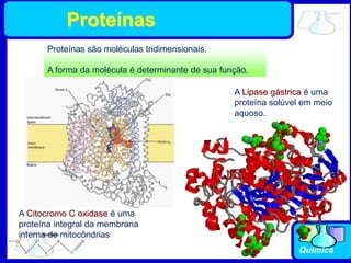 Química
A Citocromo C oxidase é uma
proteína integral da membrana
interna de mitocôndrias
A Lipase gástrica é uma
proteína solúvel em meio
aquoso.
Proteínas são moléculas tridimensionais.
A forma da molécula é determinante de sua função.
Proteínas
 