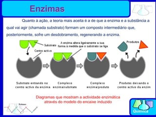 Química
Diagramas que mostram a actividade enzimática
através do modelo do encaixe induzido
Quanto à ação, a teoria mais aceita é a de que a enzima e a substância a
qual vai agir (chamada substrato) formam um composto intermediário que,
posteriormente, sofre um desdobramento, regenerando a enzima.
Enzimas
 