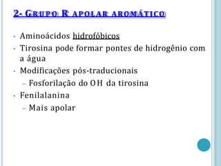 • Aminoácidos hidrofóbicos
• Tirosina pode formar pontes de hidrogênio com
a água
• Modificações pós-traducionais
– Fosforilação do OH da tirosina
• Fenilalanina
– Mais apolar
2- GR U P O R APOLAR AROMÁTICO
 