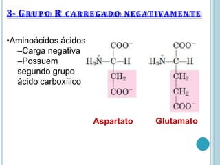 3- GR U P O R C ARRE G A D O NEGATIVAMENTE
•Aminoácidos ácidos
–Carga negativa
–Possuem
segundo grupo
ácido carboxílico
Aspartato Glutamato
 