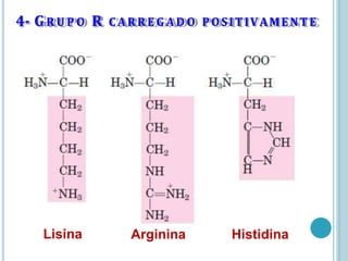 4- GR U P O R C ARRE G A D O POSITIVAMENTE
Lisina Arginina Histidina
 
