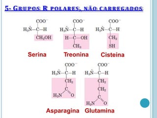 5- GR U P O S R POLARES, NÃO C ARRE G A D O S
Serina Treonina Cisteína
Asparagina Glutamina
 