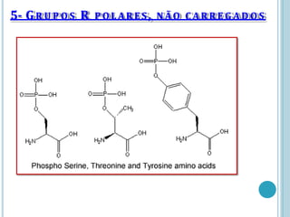  Solubilidade intermediária em água
 Serina e treonina
⚫Grupos hidroxila: fosforilação
 Asparagina e glutamina
⚫Grupo amida
 Cisteína
⚫Grupo sulfidrila
⚫Ligações dissulfeto
5- GR U P O S R POLARES, NÃO C ARRE G A D O S
 