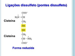 Ligações dissulfeto (pontes dissulfeto)
Cisteína
Cisteína
Forma reduzida
Cistina
Forma oxidada
 