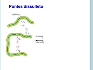 Pontes dissulfeto
 