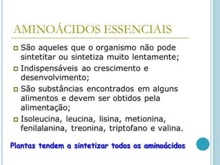 Plantas tendem a sintetizar todos os aminoácidos
 