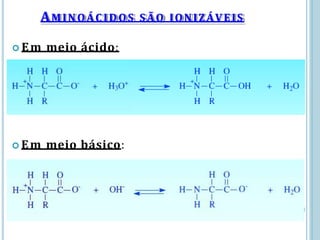 AMINOÁCIDOS SÃO IONIZÁVEIS
 Em meio ácido:
 Em meio básico:
 