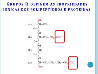 GR U P O S R DEF INEM AS PROPRIEDADES
IÔNICAS DOS POLIPEPTÍDEOS E PROTEÍNAS
 