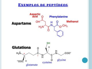 EX E M P L O S D E PEPTÍDEOS
Glutationa
Aspartame
 