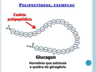 POLIPEPTÍDEOS , EXEM PL O S
Cadeia
polipeptídica
Glucagon
Hormônio que estimula
a quebra do glicogênio
 