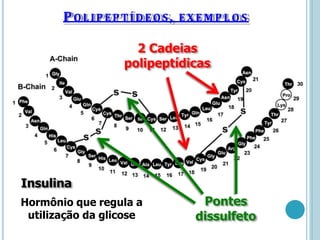 POLIPEPTÍDEOS , EXEM PL O S
2 Cadeias
polipeptídicas
Insulina
Hormônio que regula a
utilização da glicose
Pontes
dissulfeto
 