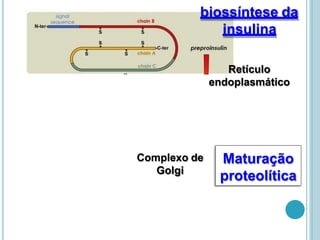 biossíntese da
insulina
Retículo
endoplasmático
Complexo de
Golgi
Maturação
proteolítica
 