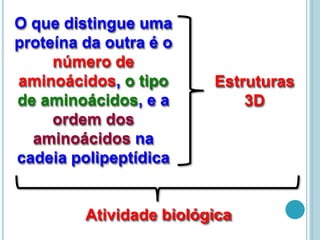 O que distingue uma
proteína da outra é o
número de
aminoácidos, o tipo
de aminoácidos, e a
ordem dos
aminoácidos na
cadeia polipeptídica
Estruturas
3D
Atividade biológica
 