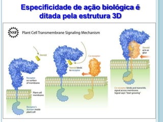 Especificidade de ação biológica é
ditada pela estrutura 3D
 
