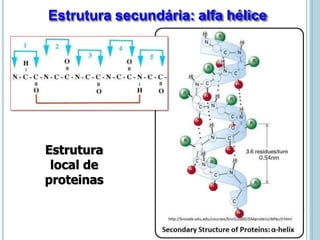 Estrutura secundária: alfa hélice
Estrutura
local de
proteinas
 