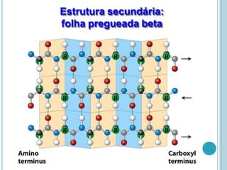 Estrutura secundária:
folha pregueada beta
 