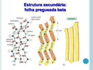 Estrutura secundária:
folha pregueada beta
 