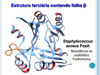 Estrutura terciária contendo folha β
Staphylococcus
aureus FosA
Resistência ao
antibiótico
Fosfomicina
 