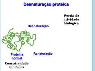 Desnaturação protéica
Proteína
normal
Proteína
Desnaturada
Com atividade
biológica
Renaturação
Perda de
atividade
biológica
Desnaturação
Temperatura, pH,
forca iônica,
solubilidade
 