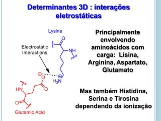 Determinantes 3D : interações
eletrostáticas
Principalmente
envolvendo
aminoácidos com
carga: Lisina,
Arginina, Aspartato,
Glutamato
Mas também Histidina,
Serina e Tirosina
dependendo da ionização
 