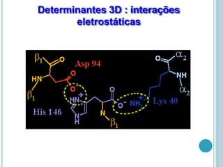 Determinantes 3D : interações
eletrostáticas
 
