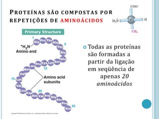 R
PROTEÍNAS SÃO COMPOSTAS PO
RE PE TIÇ ÕE S D E AMINOÁCIDOS
 Todas as proteínas
são formadas a
partir da ligação
em seqüência de
apenas 20
aminoácidos
 