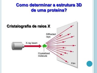 Como determinar a estrutura 3D
de uma proteína?
Cristalografia de raios X
 
