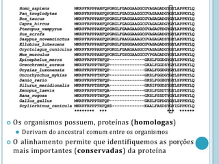  Os organismos possuem, proteínas (homologas)
⚫ Derivam do ancestral comum entre os organismos
 O alinhamento permite que identifiquemos as porções
mais importantes (conservadas) da proteína
 