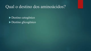 Qual o destino dos aminoácidos?
 Destino cetogênico
 Destino glicogênico
 