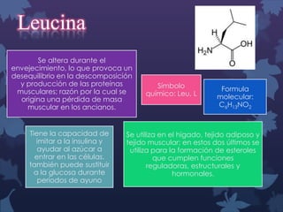 Leucina
Se altera durante el
envejecimiento, lo que provoca un
desequilibrio en la descomposición
y producción de las proteínas
musculares; razón por la cual se
origina una pérdida de masa
muscular en los ancianos.

Tiene la capacidad de
imitar a la insulina y
ayudar al azúcar a
entrar en las células.
también puede sustituir
a la glucosa durante
períodos de ayuno

Símbolo
químico: Leu, L

Formula
molecular:
C6H13NO2

Se utiliza en el hígado, tejido adiposo y
tejido muscular; en estos dos últimos se
utiliza para la formación de esteroles
que cumplen funciones
reguladoras, estructurales y
hormonales.

 
